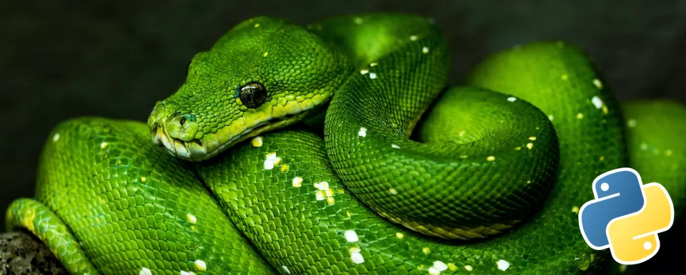 Pick a Python Lockfile and Improve Security